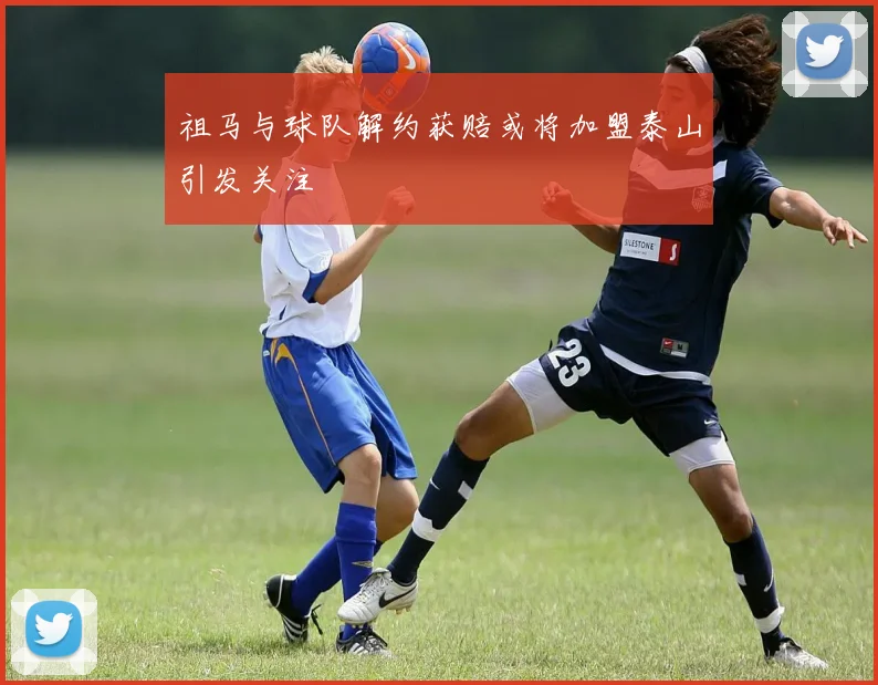 祖马与球队解约获赔或将加盟泰山引发关注